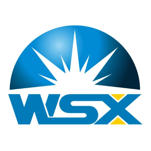 Shenzhen Worthing Technology Co., Ltd, China